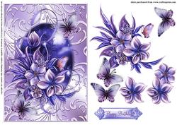 Beautiful Winter Flora in a Shimmering Frame