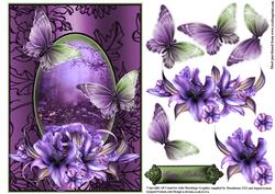 Gorgeous Lily Flutters in a Shimmering Frame