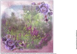 Insert to Compliment Lilac Rose Gardens