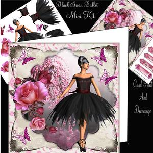 The Black Swan Ballet Mini Kit