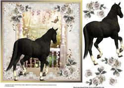 Beauty in Black Card Topper