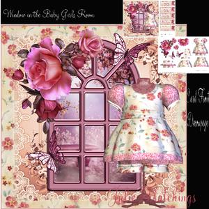 Window in the Baby Girls Room