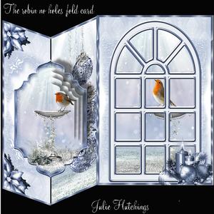 No Holes Fold Card the Robin