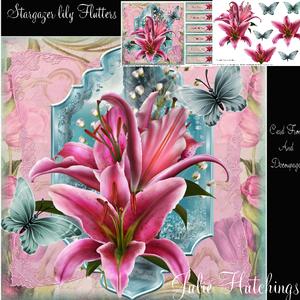 Beautiful Stargazer Lily Card Front