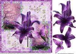 Gorgeous Dark Shadow Purple Lily 8x8