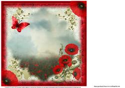 Insert to Compliment the Poppy Fields