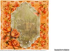 Orange Rose Insert