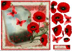 The Letter the Poppy Field