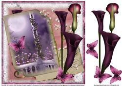 Beautiful Lily Letters