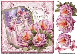 Letter to a Princess