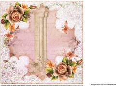 Insert to Compliment Lace and Apricot Rose
