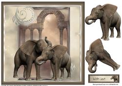 Beautiful Elephant Couple