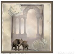Insert to Compliment the Elephant Couple