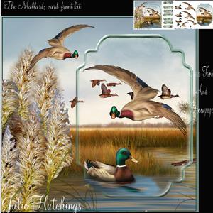The Mallards Card Front Kit