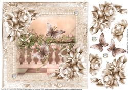 The Butterfly's