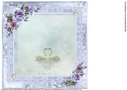 Insert to Compliment the Love Swans