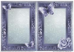 Insert to Compliment Beautiful Blue Roses and Butterfly