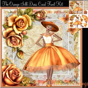 Gorgeous Orange Silk Dress Beauty Card Front Kit