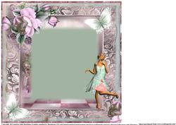 Insert to Compliment the Flapper