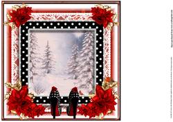 Insert to Compliment the Christmas Shoes