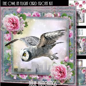 The Owl in Flight Card Front Kit