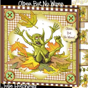Older But No Wiser! Card Front Kit