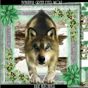 Beautiful Green Eyed Wolf Card Front Kit