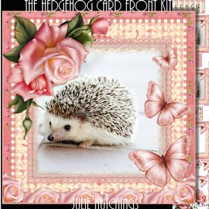 The Hedgehog Card Front Kit