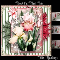 Beautiful Blush Iris and Feathers Card Front Kit