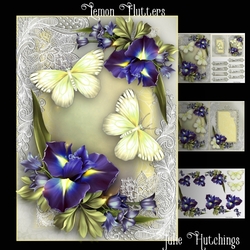 Beautiful Lemon Flutters A5 Card Front Kit