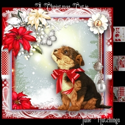 A Christmas Cutie Card Front Kit