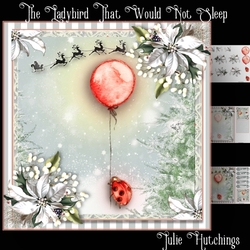 The Ladybird That Would Not Sleep Card Front Kit