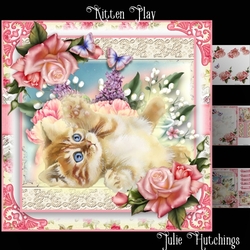 Kitten Play Card Front Kit