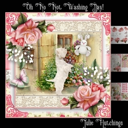 Oh No Not Washing Day! Card Front Kit