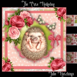 Cute Hedgehog Card Front Kit