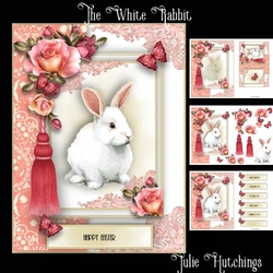 The White Rabbit A5 Card Front Kit