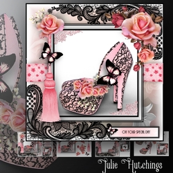 The Lace Pink and Black Shoes