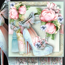 The Pink and Blue Lace Shoes