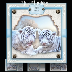 The White Tiger Cubs Card Kit