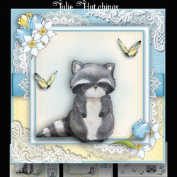 Cute Racoon