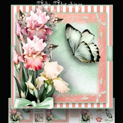The Iris Flutter 