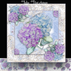 Beautiful Hydrangea blooms