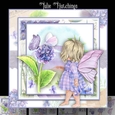 The Fairy Garden
