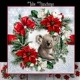 Koala Wreath