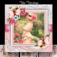 Rose Garden