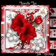 Amaryllis Lace Card Front Kit
