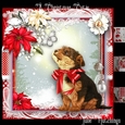 A Christmas Cutie Card Front Kit