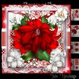 Poinsettia and Lace Card Front Kit