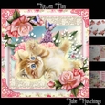 Kitten Play Card Front Kit 
