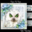 Have A Hoot Christmas Card Front Kit 